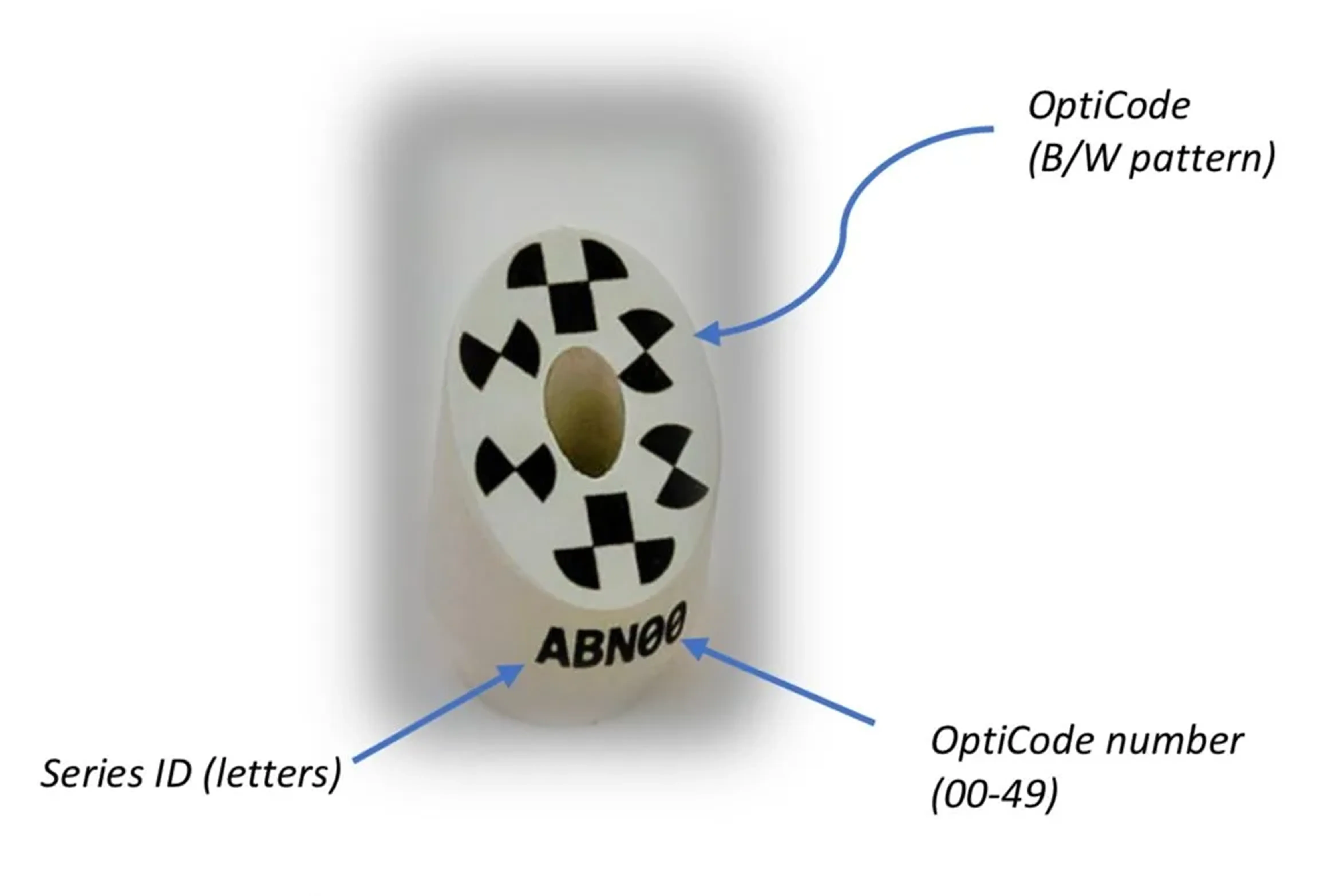 Scan Body Coding